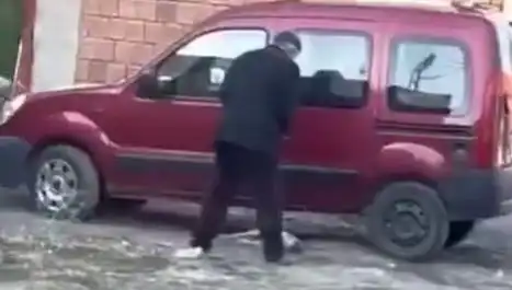 Sokak Ortasında Şiddet Gören Köpeğin Dramı: Toplumsal Tepki Büyüyor