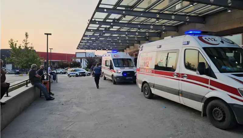 Aile Kavgası Kanlı Bitti: Muhtar Hayatını Kaybetti, Üç Kişi Yaralı
