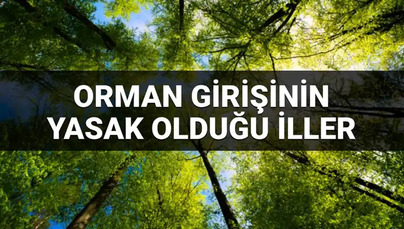 2025 Yılı İçin Orman Girişine Yasaklanan İller Açıklandı!