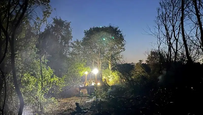 Edirne'deki Orman Yangını Kısa Sürede Kontrol Altına Alındı