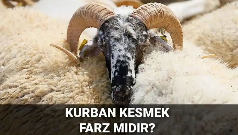 Kurban Kesmek Farz mı? Diyanet'in Yanıtı ve Şartları