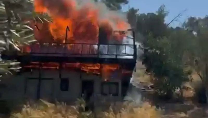 Bodrum'da Yangın Alarmı: Yangının Sebepleri ve İlgili Gelişmeler