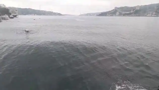 İstanbul Boğazı'nda Fırtına: Dalgalar Yükseliyor ve Gemiler Zor Anlar Yaşıyor