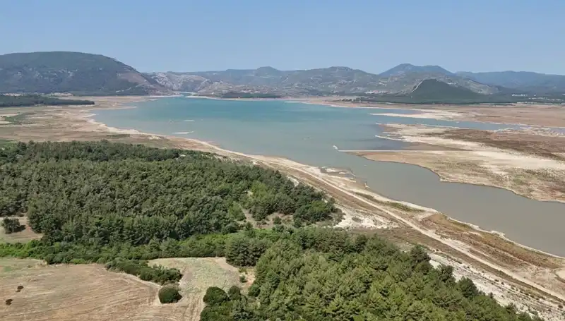 İzmir’de Tehlike Çanları Çalıyor: Geçen Yıla Göre Yüzde 50 Düşüş Kaydedildi!