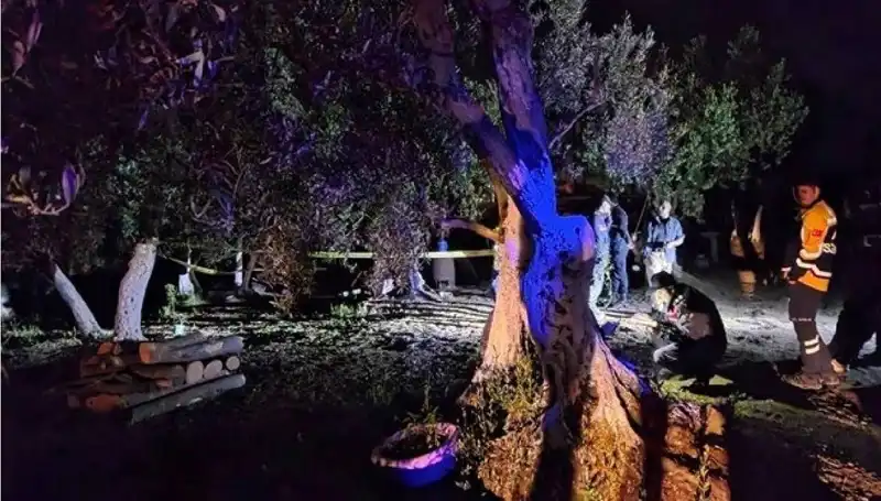 Çiftlikteki Baltalı Vahşete Olayında Şok Tutuklama Gerçekleşti!