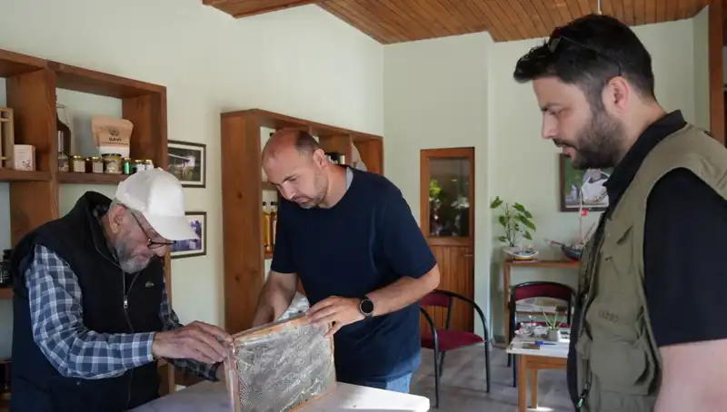 Doktorlar Uyardı: Bu Doğal Ürün Hem Şifa Hem de Zehir Olabilir!