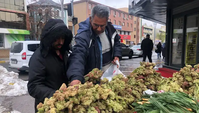 Kendiliğinden Yetişen Bu Vitamin Deposu Kanserle Mücadelede Umut Olabilir