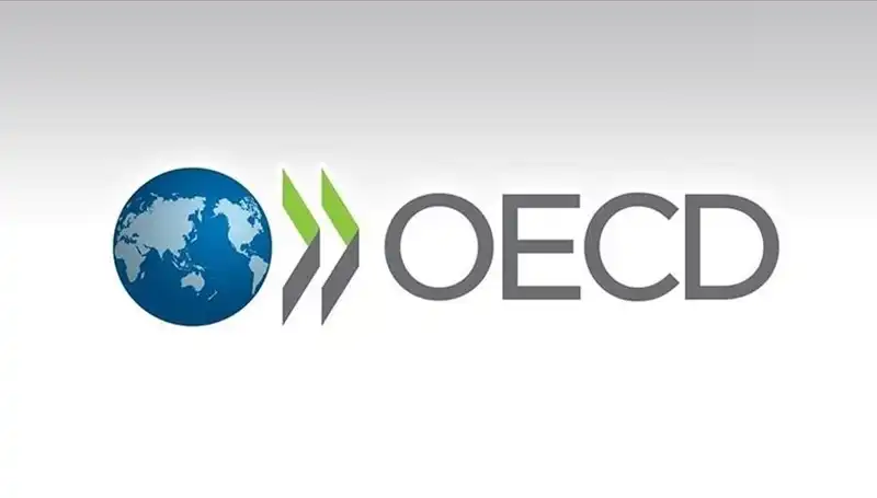 OECD, Türkiye'nin Ekonomik Büyüme Tahmininde Belirgin Artışa Gitti