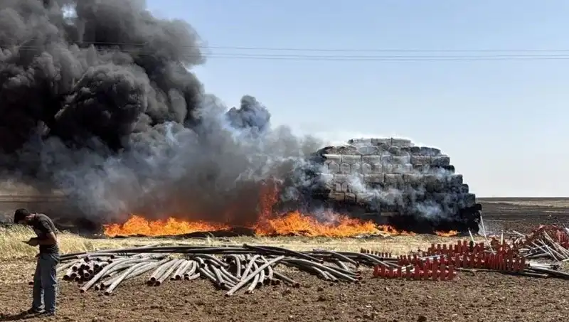 Mardin’de Anız Yangını: Çiftçiler ve Doğa İçin Tehlike Çanları Çalıyor!
