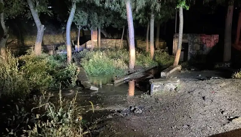 Manisa’da Parkta Gizemli Şüpheli Ölüm Olayı: Detaylar Belli Oluyor