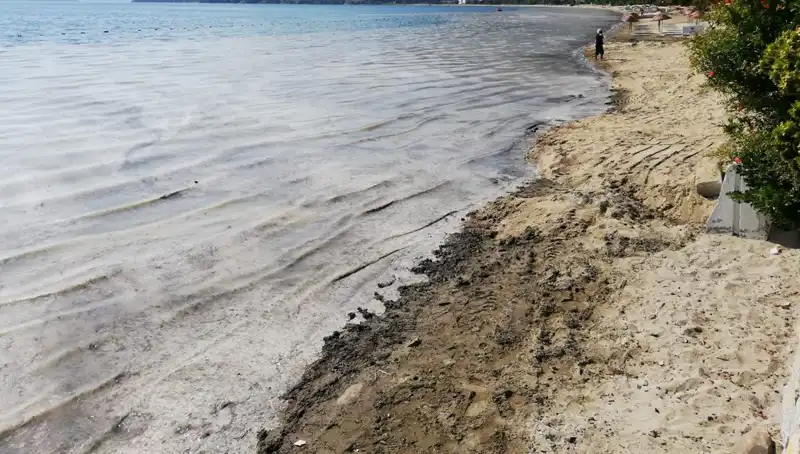 Tüm Gözler Müsilaj Mücadelesinde: 268 İşletme Faaliyetlerine Son Verdi