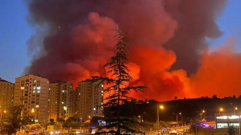 Bursa’da Yangınlar Alarm Veriyor: Son Gelişmeler ve Etkiler