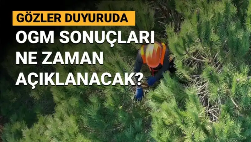 OGM 3 Bin 477 Sözleşmeli Personel Alımında Sonuçlar Ne Zaman Açıklanacak?