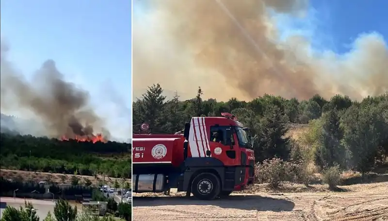 Gebze’de Çıkan Orman Yangını: Nedenleri ve Müdahale Süreci