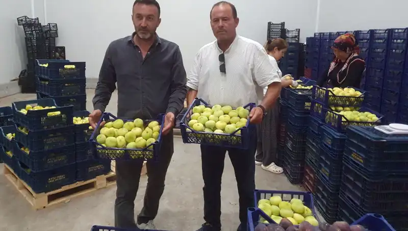 Mersinli Çiftçilerin Yüzü Gülüyor: Tanesi 20 TL’den İhraç Edilen Ürünler