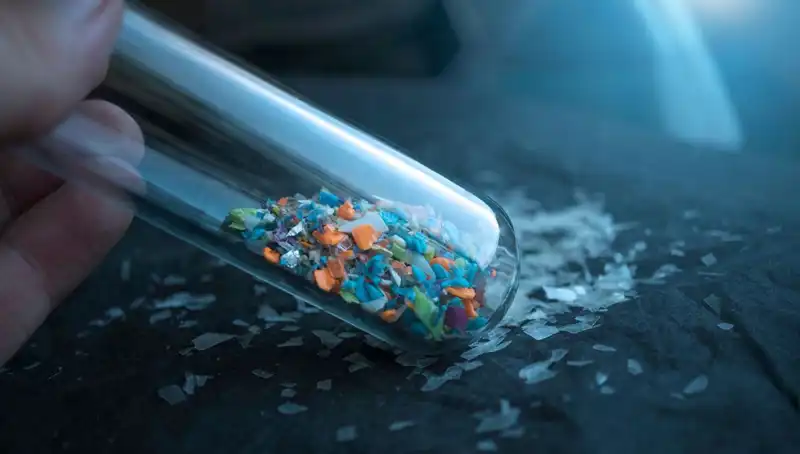 Mikroplastikler İnsan Beynine Sızdı: Bu Durum Sağlığımızı Nasıl Etkiliyor?