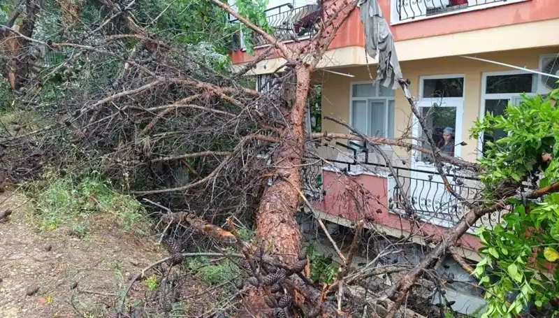 Yağmur Suları Bir Binayı Daha Yıktı: Devrilen Yapının Ardındaki Gerçekler