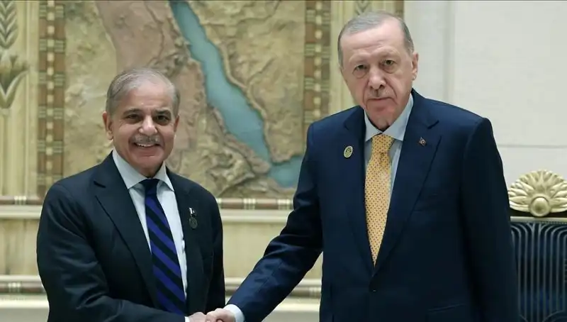 Erdoğan ve Şerif, İstanbul'da Dış Politika Üzerine Kritik Görüşme Gerçekleştiriyor