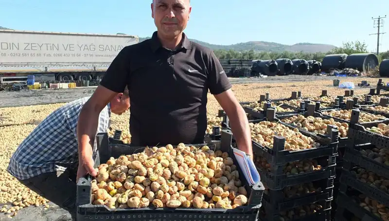 Balıkesir'de Tarımda Yeni Dönem: Çin ve Rusya'ya İhracat Başlıyor!