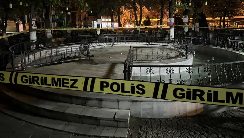 Kırklareli'nde Süs Havuzunda Tehlikeli Anlar: Dört Kişi Hastaneye Kaldırıldı