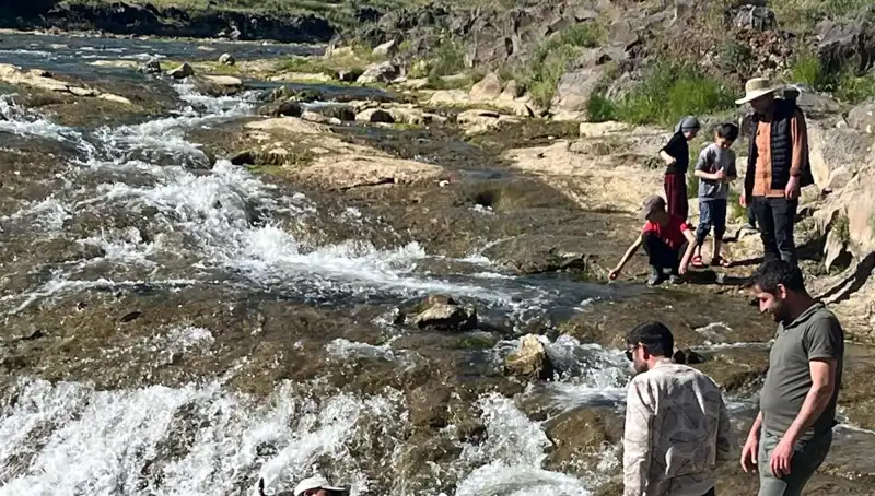 İnci Kefali Göçü: Doğanın Büyüleyici Güzellikleri Alana Çekiyor